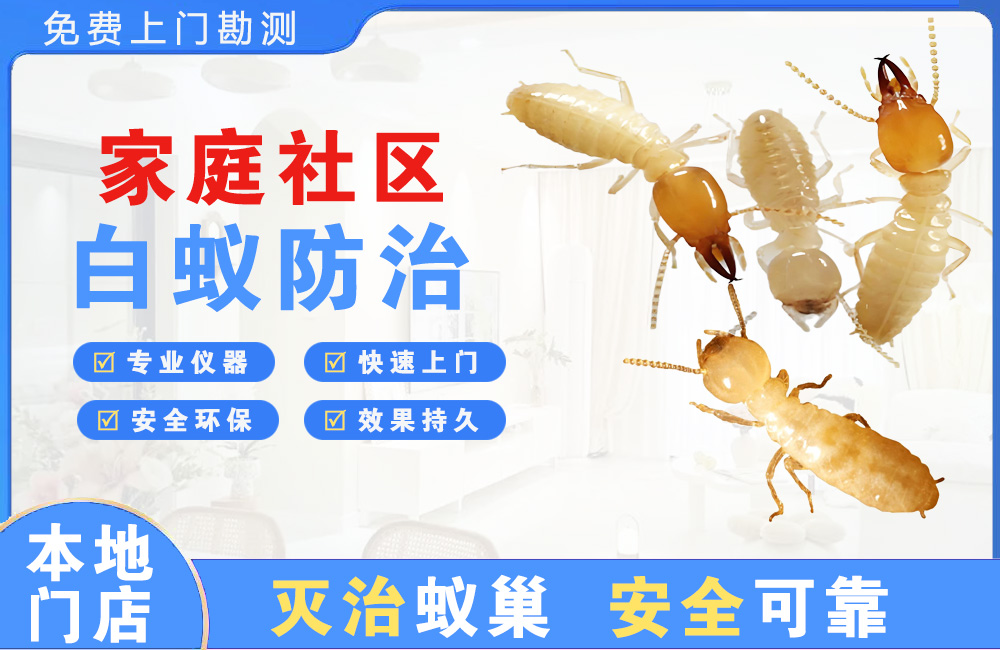 灌南家庭社区白蚁防治