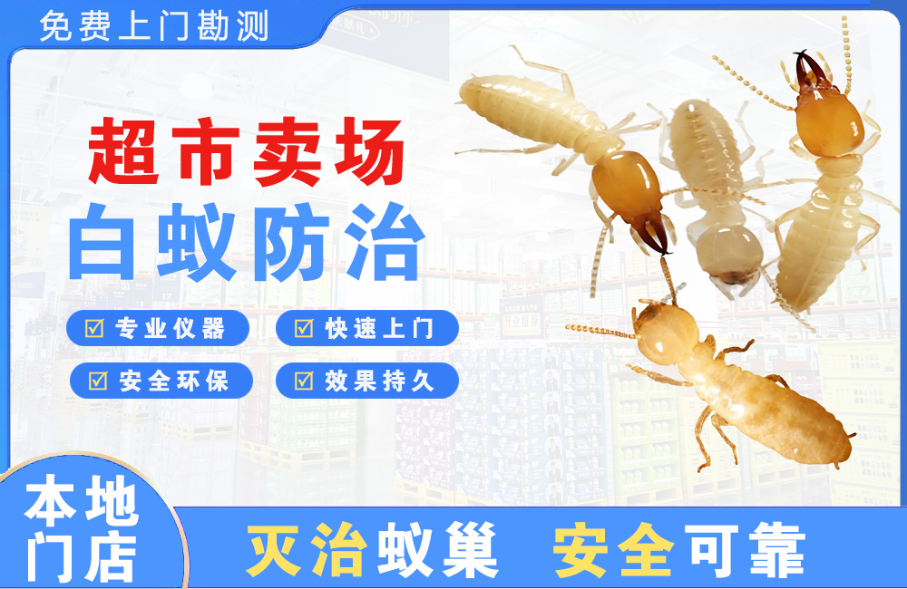 灌南超市卖场白蚁防治