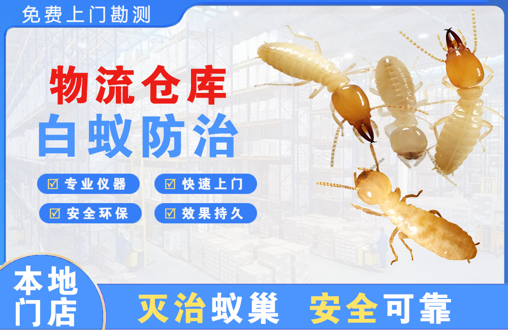 灌南物流仓库白蚁防治