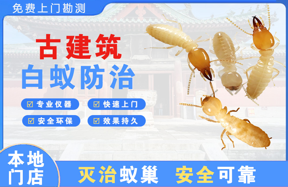 灌南古建筑白蚁防治