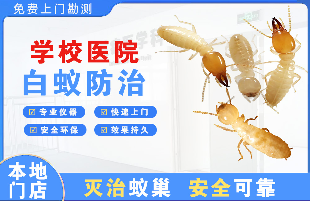 灌南学校医院白蚁防治