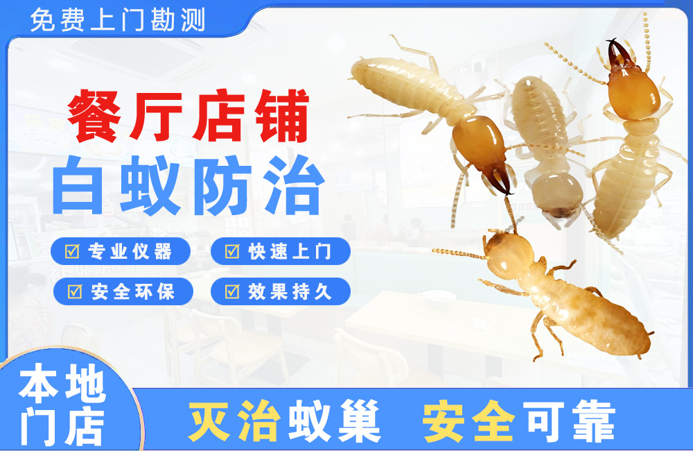 灌南餐厅店铺白蚁防治